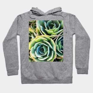 Succulent Rose Hoodie